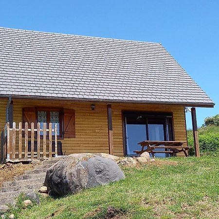 Chalet Sancy Saint-Genès-Champespe Esterno foto